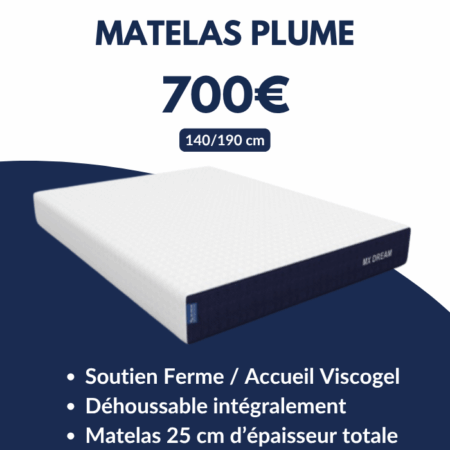 Matelas Plume 140x190 cm